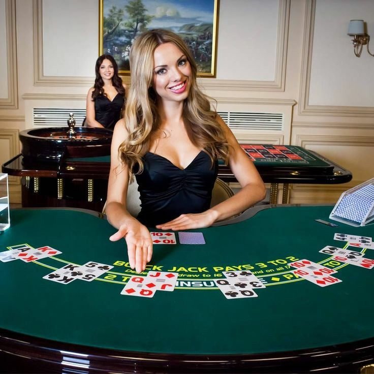 suntogel featured game showcase suntogel featured game showcase
